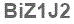 The text to enter in the texbox below is: BiZ1J2